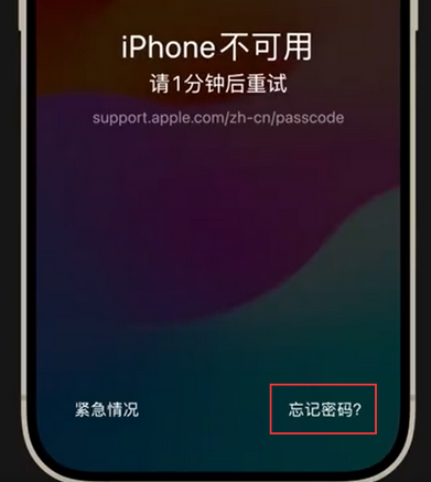 雅星镇苹果手机密码维修分享iPhone忘记了刚设置的密码 
